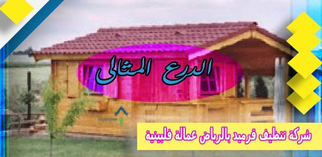 شركة تنظيف قرميد بالرياض عمالة فلبينية