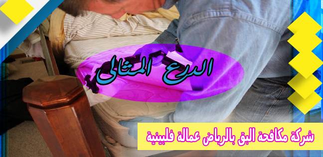 شركة مكافحة البق بالرياض عمالة فلبينية