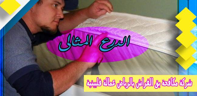 شركة مكافحة بق الفراش بالرياض عمالة فلبينية