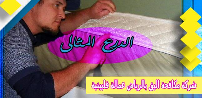 شركة مكافحة البق بالرياض عمالة فلبينية