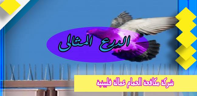 شركة مكافحة الحمام عمالة فلبينية