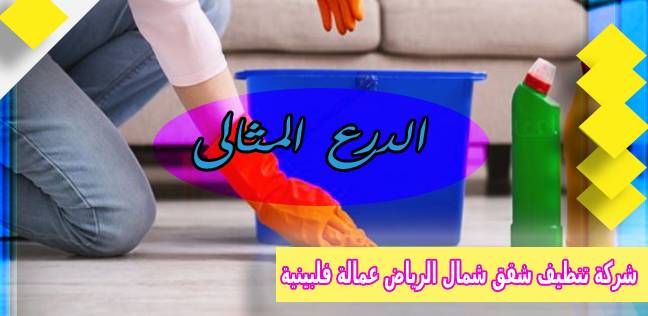 شركة تنظيف شقق شمال الرياض عمالة فلبينية 0503152005