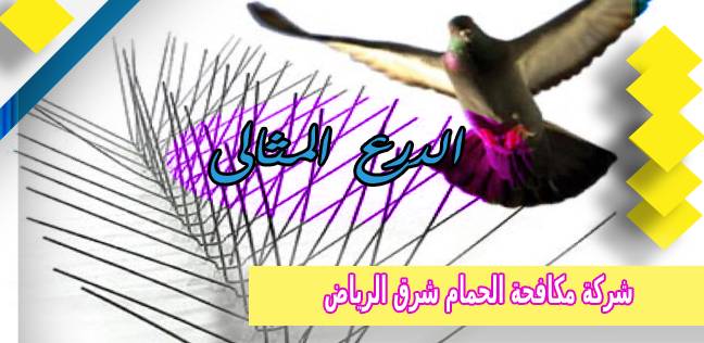 شركة مكافحة الحمام شرق الرياض