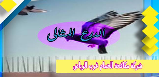 شركة مكافحة الحمام غرب الرياض