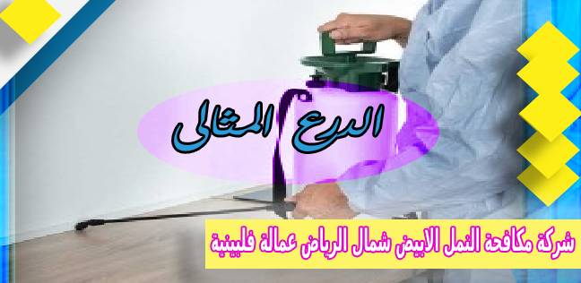 شركة مكافحة النمل الابيض شمال الرياض عمالة فلبينية
