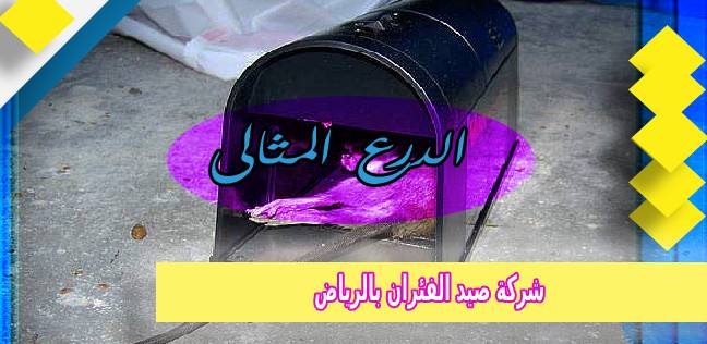 شركة صيد الفئران بالرياض