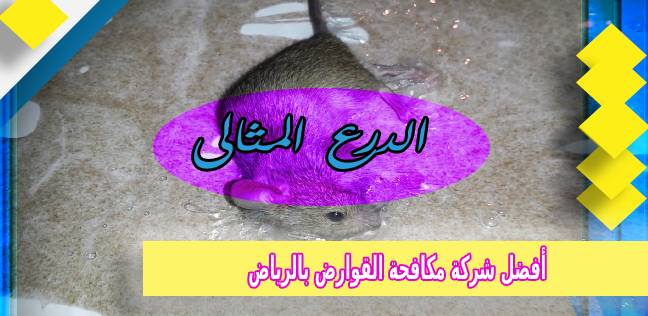 أفضل شركة مكافحة القوارض بالرياض