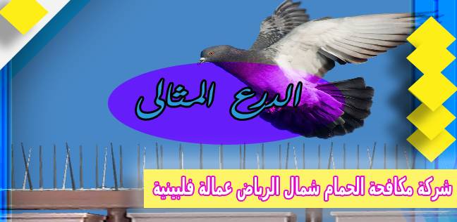 شركة مكافحة الحمام شمال الرياض عمالة فلبينية