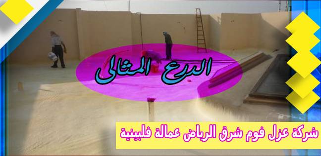 شركة عزل فوم شرق الرياض عمالة فلبينية
