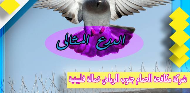 شركة مكافحة الحمام جنوب الرياض عمالة فلبينية 0503152005