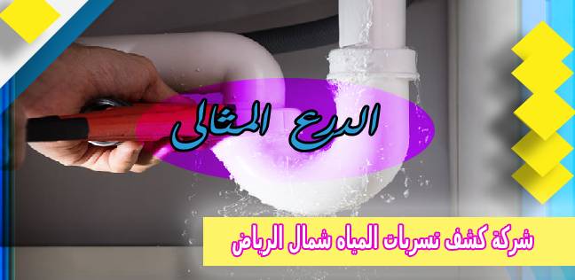 شركة كشف تسربات المياه شمال الرياض  0505597873