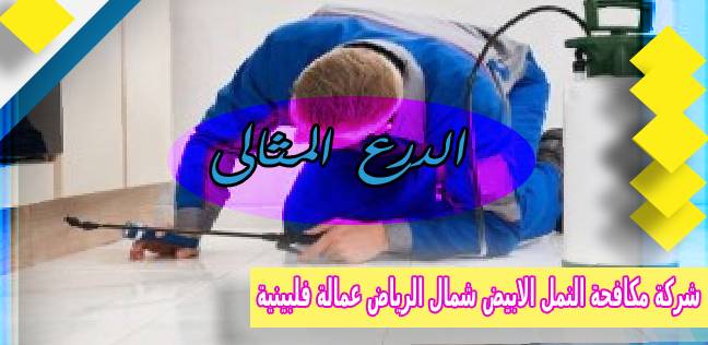 شركة مكافحة النمل الابيض شمال الرياض عمالة فلبينية