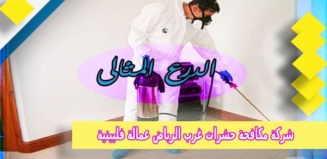 شركة مكافحة حشرات غرب الرياض عمالة فلبينية
