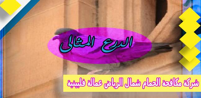 شركة مكافحة الحمام شمال الرياض عمالة فلبينية