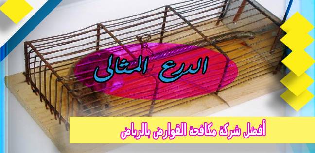 أفضل شركة مكافحة القوارض بالرياض