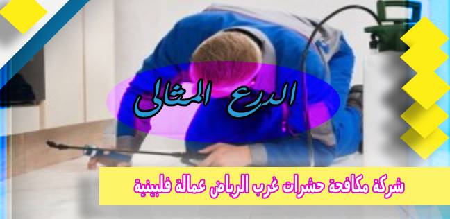 شركة مكافحة حشرات غرب الرياض عمالة فلبينية