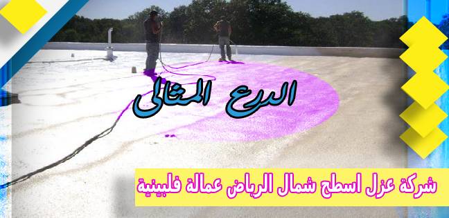شركة عزل اسطح شمال الرياض 0538851327
