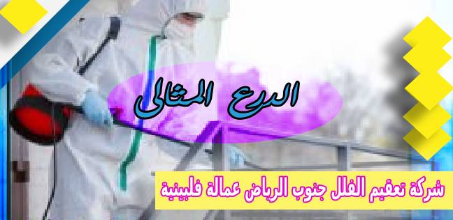 شركة تعقيم الفلل جنوب الرياض عمالة فلبينية 0503152005