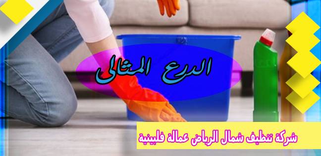 شركة تنظيف شمال الرياض عمالة فلبينية 0503152005