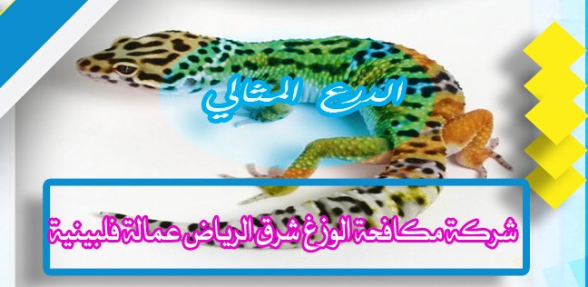 شركة مكافحة الوزغ شرق الرياض عمالة فلبينية