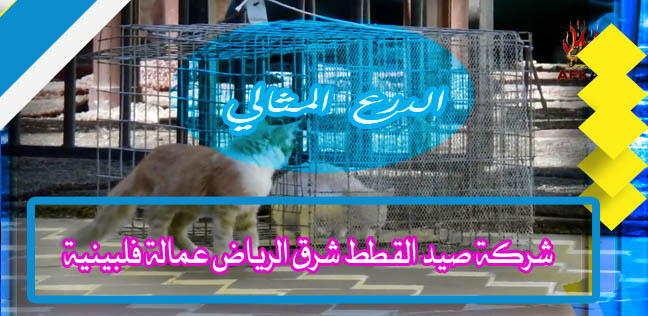 شركة صيد القطط شرق الرياض عمالة فلبينية 0503152005