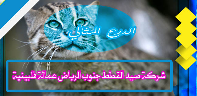 شركة صيد القطط جنوب الرياض عمالة فلبينية 0503152005
