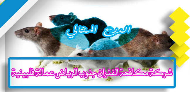 شركة مكافحة الفئران جنوب الرياض عمالة فلبينية 0503152005