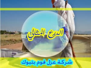 شركة عزل فوم بتبوك