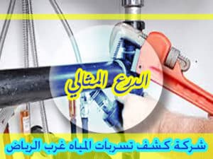 شركة كشف تسربات المياه غرب الرياض