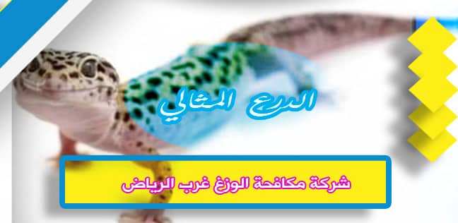 شركة مكافحة الوزغ غرب الرياض 920008956