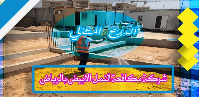 شركة مكافحة النمل الابيض بالرياض