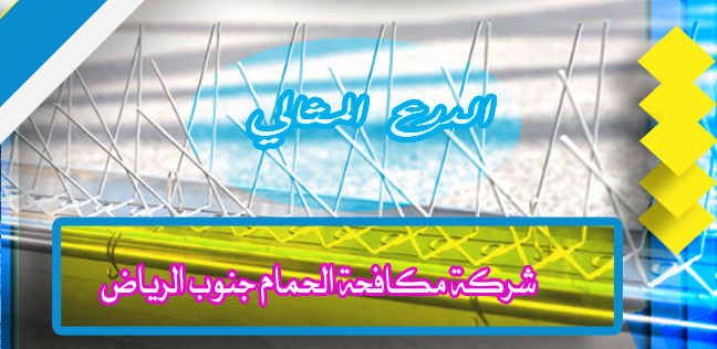شركة مكافحة الحمام جنوب الرياض