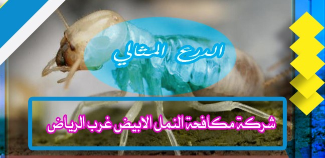 شركة مكافحة النمل الابيض غرب الرياض 920008956