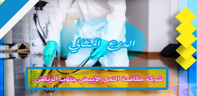 شركة مكافحة النمل الابيض جنوب الرياض 920008956