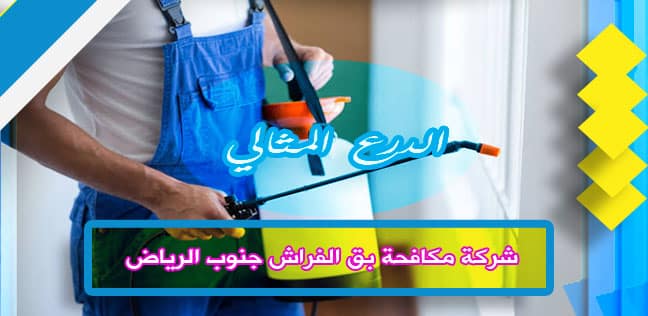 شركة مكافحة بق الفراش جنوب الرياض