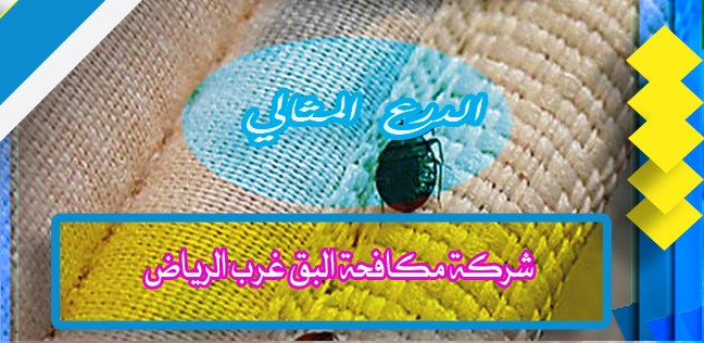 شركة مكافحة البق غرب الرياض