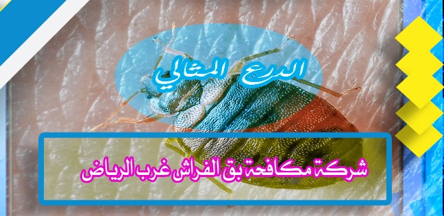 شركة مكافحة بق الفراش غرب الرياض