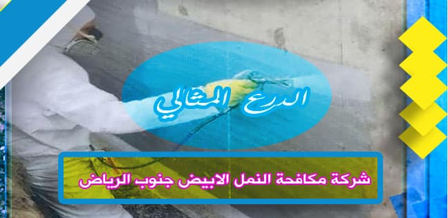شركة مكافحة النمل الابيض جنوب الرياض