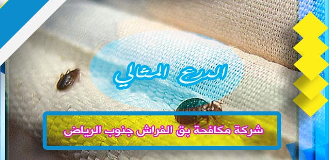 شركة مكافحة بق الفراش جنوب الرياض