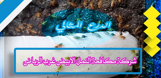 شركة مكافحة النمل الابيض غرب الرياض