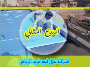 شركة عزل فوم غرب الرياض