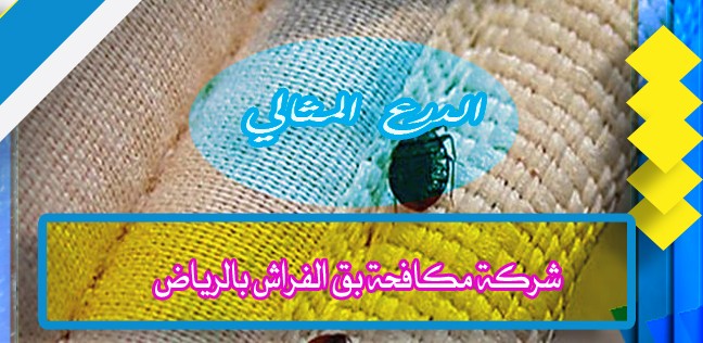 شركة مكافحة بق الفراش بالرياض