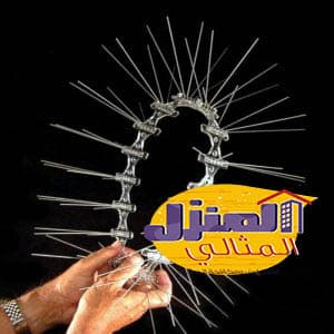 شركة تركيب طارد الحمام بالرياض
