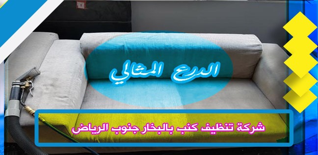 شركة تنظيف كنب بالبخار جنوب الرياض 0503152005
