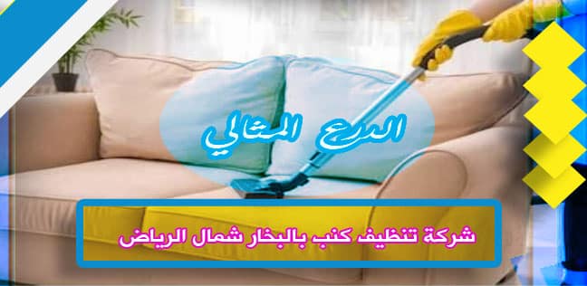 شركة تنظيف كنب بالبخار شمال الرياض 920008956
