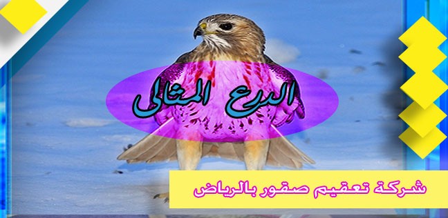 شركة تعقيم صقور بالرياض