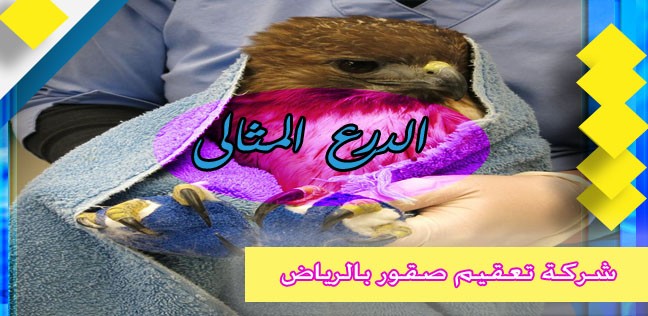 شركة تعقيم صقور بالرياض