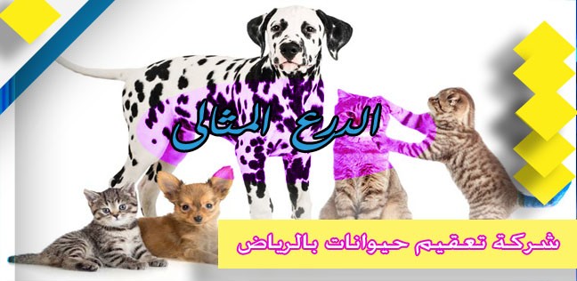  شركة تعقيم حيوانات بالرياض