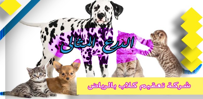 شركة تعقيم كلاب بالرياض