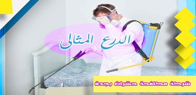 شركة مكافحة حشرات بجدة